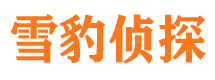 邗江侦探公司